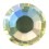 STRASS PRECIOSA THERMOAD AUFKLEBER SS20 (5MM) JONQUIL AB-144PZ